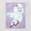 Suche nach diva postkarten Haustiere