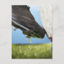 Suche nach rugby postkarten Outdoor