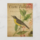 Suche nach niedlicher vogel postkarten Rosa