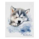 Suche nach sibirien poster Sibirischer husky