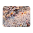 Suche nach sanibel magnete Küste