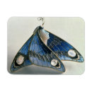 Suche nach email magnete Schmuck