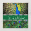 Suche nach stolzer pfau postkarten Blau