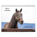 Suche nach fohlen kalender Stute