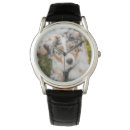 Suche nach australian shepherd accessoires Welpe