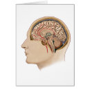 Suche nach arterien postkarten Diagramm