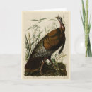 Suche nach turkey karten Bird