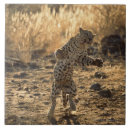 Suche nach namibia fliesen Tier