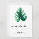 Suche nach monstera blätter einladungen Blatt