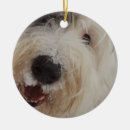 Suche nach alte ornamente Schnee
