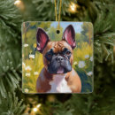 Suche nach französische bulldoggen ornamente Aquarell