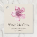 Suche nach cherry Blume