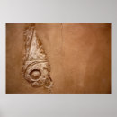Suche nach hieroglyphen ägypten poster Schreiben
