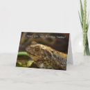 Suche nach toad karten Kröte