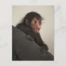 Suche nach mund offen poster Natur