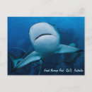 Suche nach riff postkarten Korallen