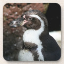 Suche nach penguin untersetzer Tier