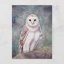 Suche nach weiße eule poster Aquarell