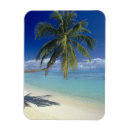 Suche nach geselle Reise
