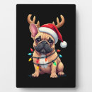 Suche nach bulldogge fotoplatten Tier