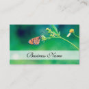 Suche nach schöner schmetterling visitenkarten Modern