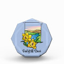 Suche nach st david Narzisse