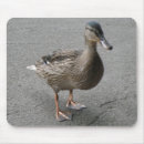 Suche nach lustige ente mousepads Enten