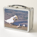 Suche nach niedlicher vogel brotdosen Tierwelt