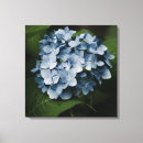 Suche nach blaue sommer blumen kunst Fotografie