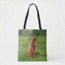 Suche nach labrador retriever taschen Tiere