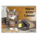 Suche nach rettung kalender Kätzchen