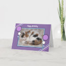 Suche nach calico cat karten Kalico