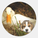 Suche nach entenaufkleber Tiere