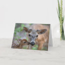 Suche nach cute animals karten Young animal