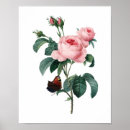 Suche nach originell poster Botanisch