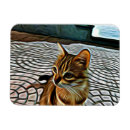 Suche nach schöne katzen magnete Niedlich