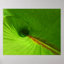 Suche nach grüne spirale poster Spiralförmig