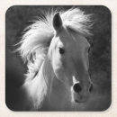 Suche nach schwarzes pferd untersetzer Western