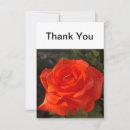 Suche nach orange rose karten Schön