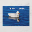Suche nach ducky poster Natur