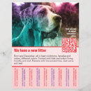 Suche nach vorlagen flyer Hunde