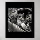 Suche nach vintage cat poster Papa