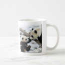 Suche nach babypanda tassen Pandas