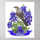 Suche nach spottdrossel poster Vögel