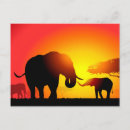 Suche nach elefant für kinder postkarten Tier