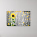 Suche nach sonnenblumen leinwandbilder Fröhlich