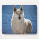 Suche nach wölfe mousepads Maus