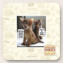 Suche nach lieder untersetzer Ich kann habe cheezburger