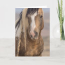 Suche nach reisenden karten Fotografie