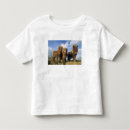 Suche nach shetland tshirts Süß